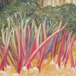 rhubarb